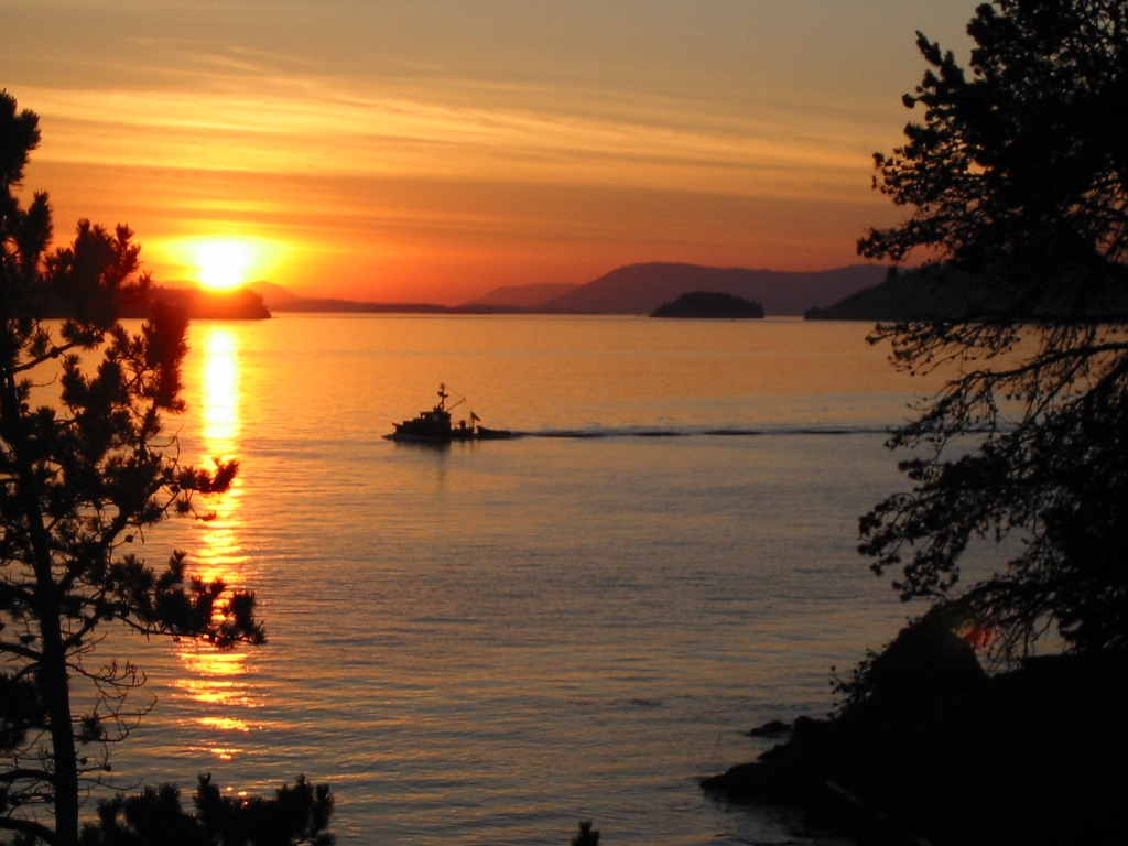 boatsunset.jpg